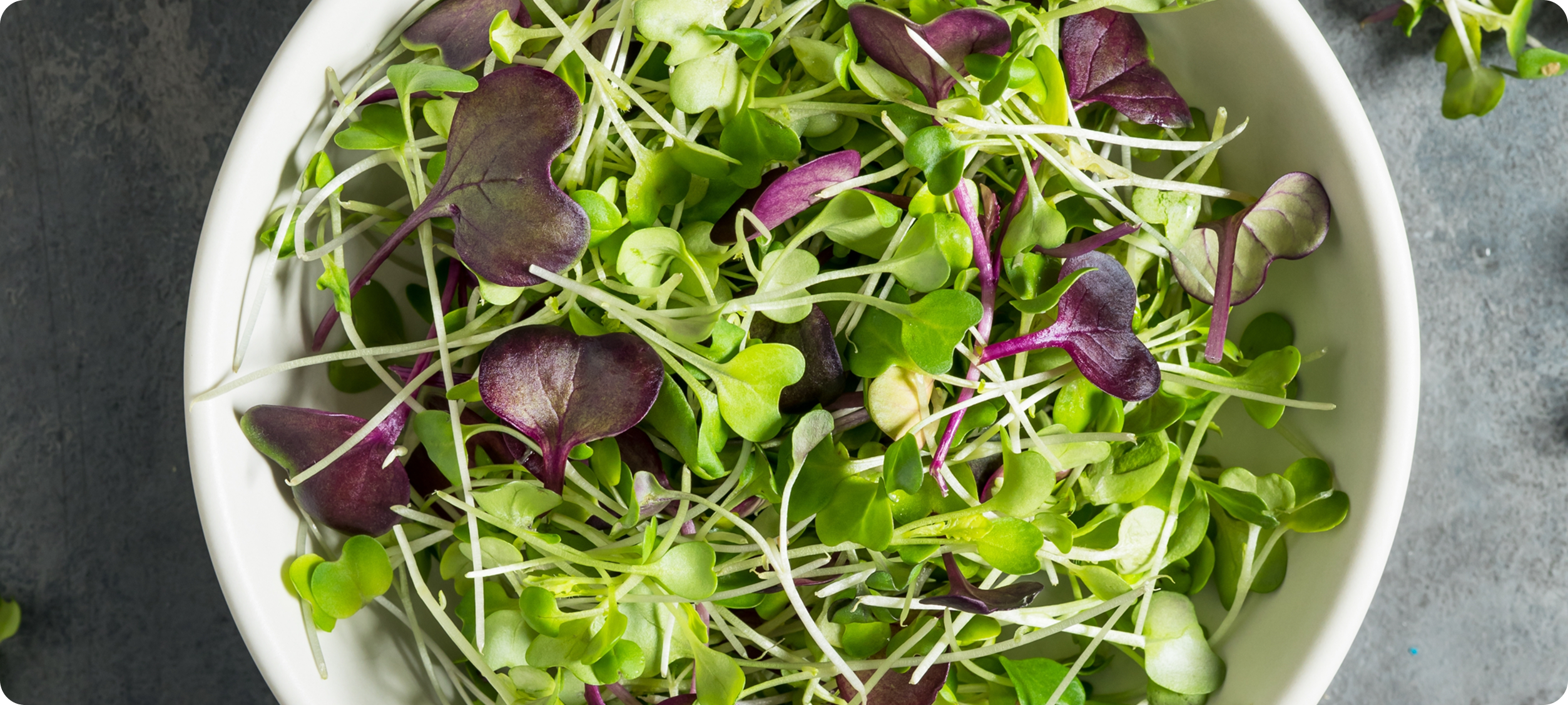 Chef using Home Harvest and chopping herbs