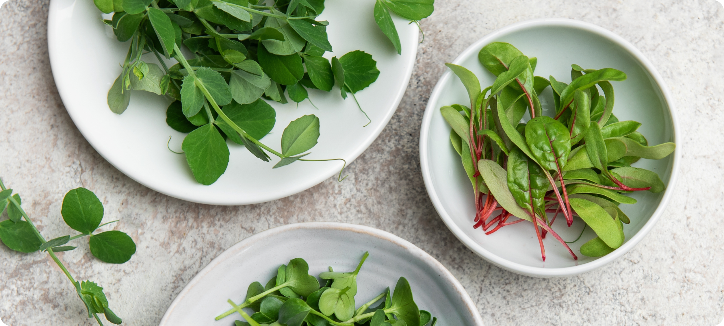 Three bowls of different salads on a table