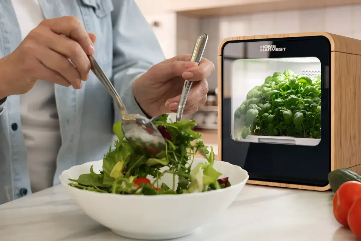 Woman cooking with Home Harves