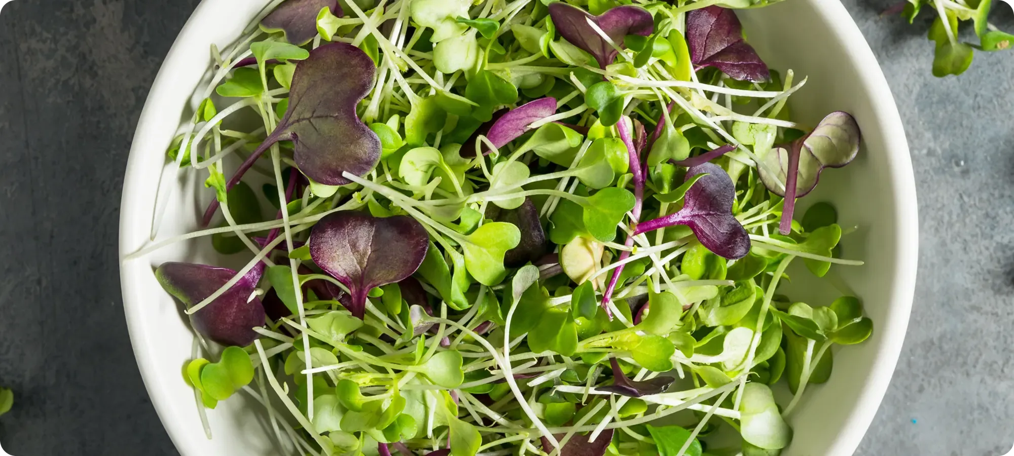 Chef using Home Harvest and chopping herbs